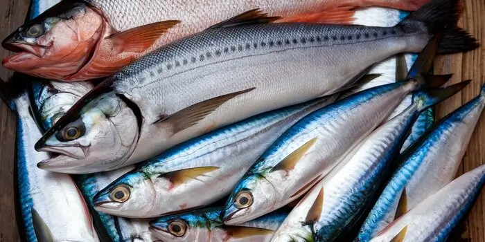 What Is the Best Fish to Eat?