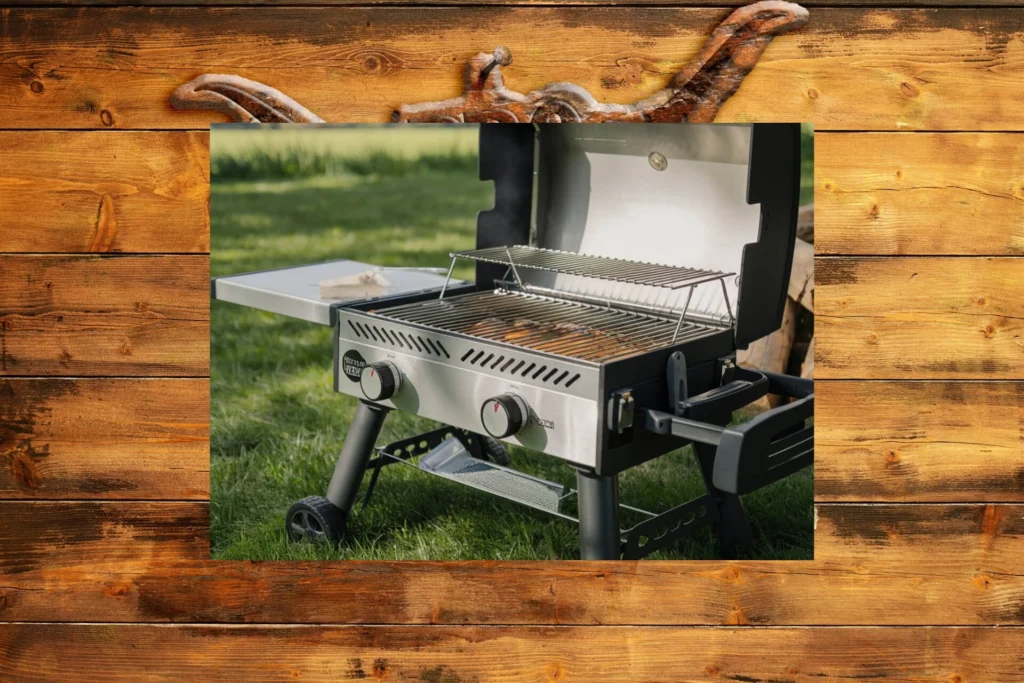 Two Burner Portable Gas Grill