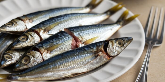 Do You Eat Sardine Bones?