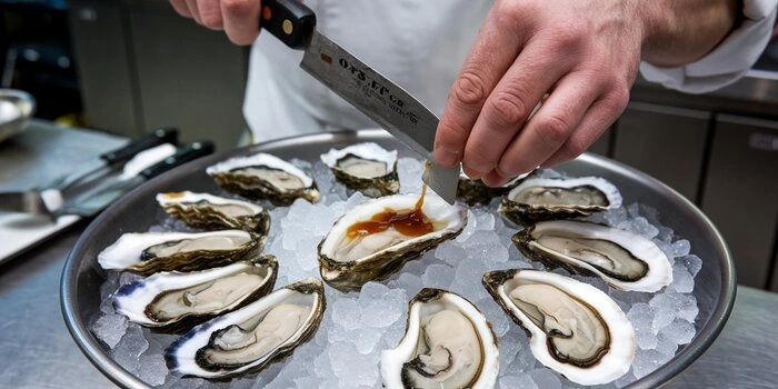 Are Oysters Good for You?