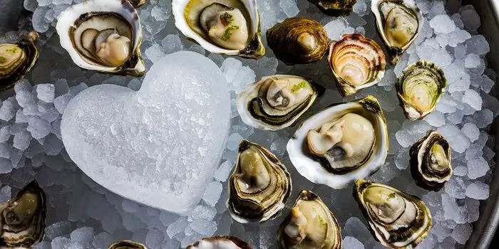 Are Oysters Good for You?